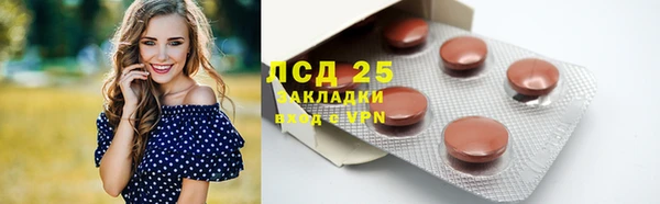 твердый Алзамай