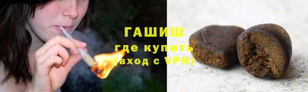 мет Алексин