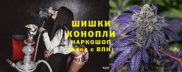 ПСИЛОЦИБИНОВЫЕ ГРИБЫ Алексеевка