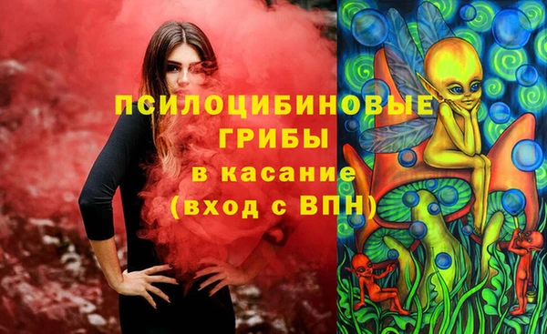 твердый Алзамай