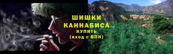 ПСИЛОЦИБИНОВЫЕ ГРИБЫ Алексеевка
