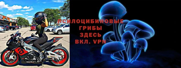 твердый Алзамай